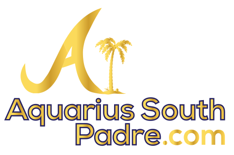 Aquarius South padre